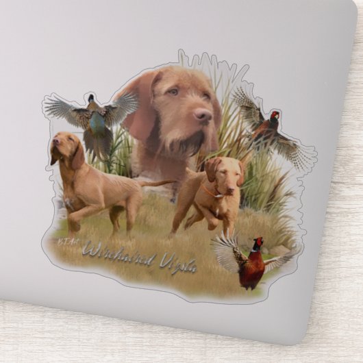 De Hongaarse Wirehaired Vizsla Sticker (Detail)