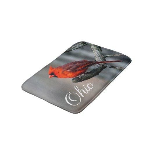 De hoofd Badmat van Ohio (Gekanteld)