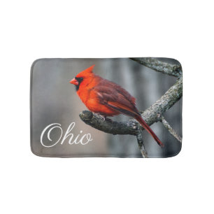 De hoofd Badmat van Ohio