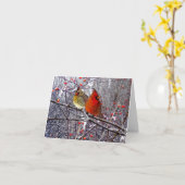 De hoofd BosKaart van de Nota Kaart (Gele Bloem)