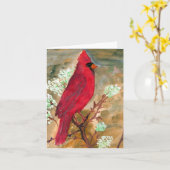 De hoofd Kaart van de Nota (Gele Bloem)