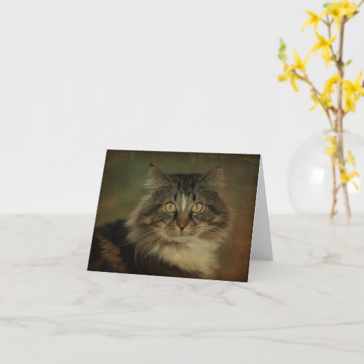 De hoofd Kat Notecard van de Wasbeer Kaart (Gele Bloem)