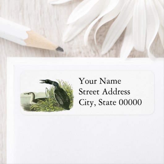 De hoofdplaats is John Audubon Etiket (Insitu)