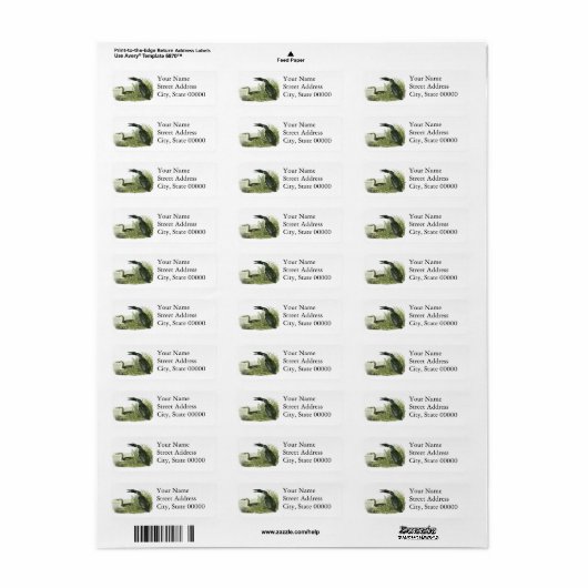 De hoofdplaats is John Audubon Etiket (Full Sheet)