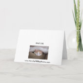 De HoofdReeks van Hilton Kaart (Achterkant)