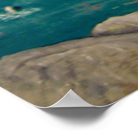 DE HOOK INSTELLEN POSTER (Hoek)