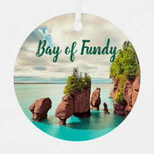 De Hopewell Rocks Bay van Fundy Canada gestileerd Metalen Ornament