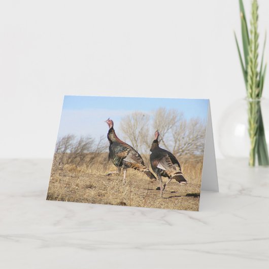 De Horizon van Turkije Kaart (Voorkant)