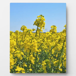 De Horizonlijn - Kleuren van Wilde Natuur Roemenië Fotoplaat