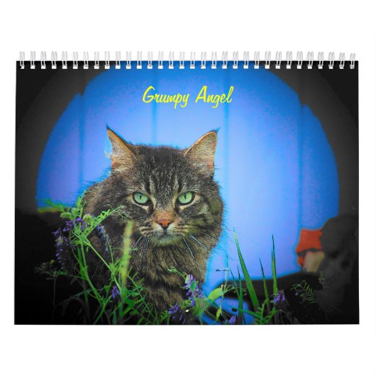 De houding van de Grumpy Angel 16 maanden Kalender (Hoes)