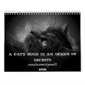 De houding van de Grumpy Angel 16 maanden Kalender (Achterkant)