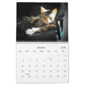 De houding van de Grumpy Angel Kalender (Jan 2026)