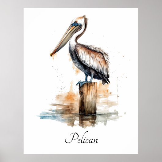 De houding van de pelikaan poster (Voorkant)