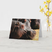 De houdings klantgerichte kaart van Hippo (Gele Bloem)