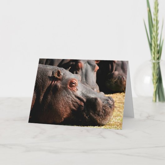De houdings klantgerichte kaart van Hippo (Voorkant)