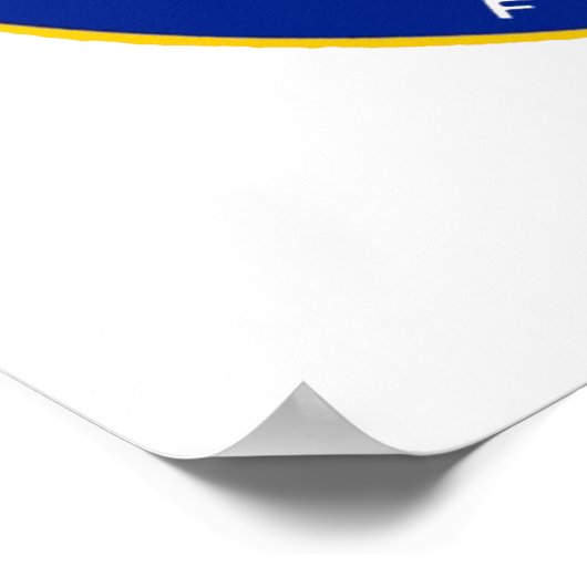 De Hub Roller Rink Chicago/Norridge Illinois Poster (Hoek)