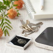 De Hubble ruimtetelescoop in een baan boven de aar Sleutelhanger (Zijkant)