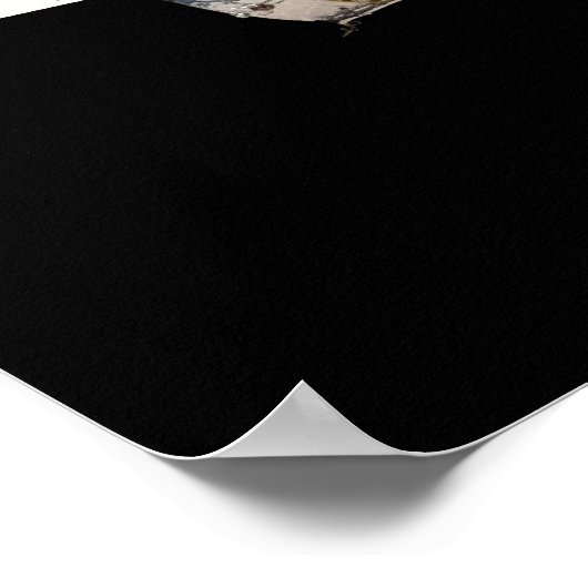 De Hubble ruimtetelescoop Poster (Hoek)