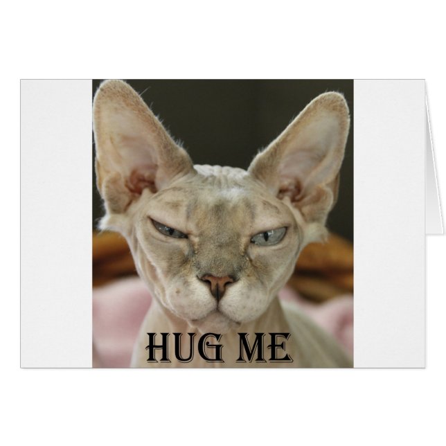De Hug me kat (Voorkant Horizontaal)
