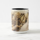 De Hug Mok Decorah North Nest (Midden)