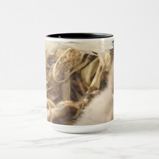 De Hug Mok Decorah North Nest (Midden)