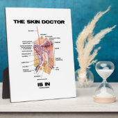 De huidarts is in behandeling (anatomie dermatolog fotoplaat (Zijkant)