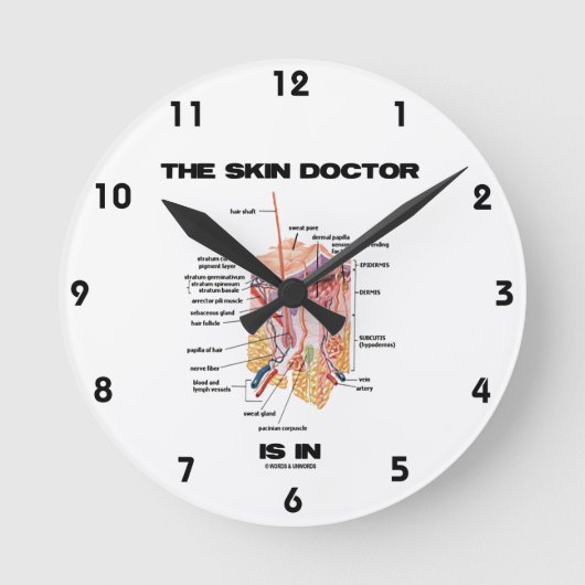 De huidarts is in behandeling (anatomie dermatolog ronde klok (Voorkant)