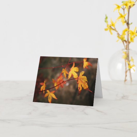 De huilende Kaart van de Nota van de Herfst (Gele Bloem)