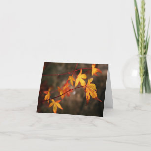 De huilende Kaart van de Nota van de Herfst