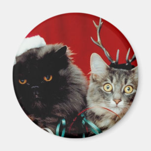 De Huisdieren van Kerstmis Magneet