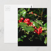 De hulst en de Klimop Briefkaart (Voorkant / Achterkant)