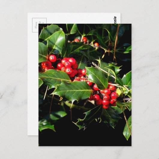 De hulst en de Klimop Briefkaart (Voorkant / Achterkant)