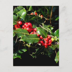 De hulst en de Klimop Briefkaart