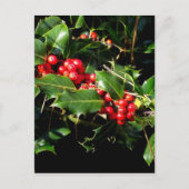 De hulst en de Klimop Briefkaart (Voorkant)