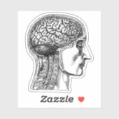 De Human Brain Medical Illustration Sticker (Vel)
