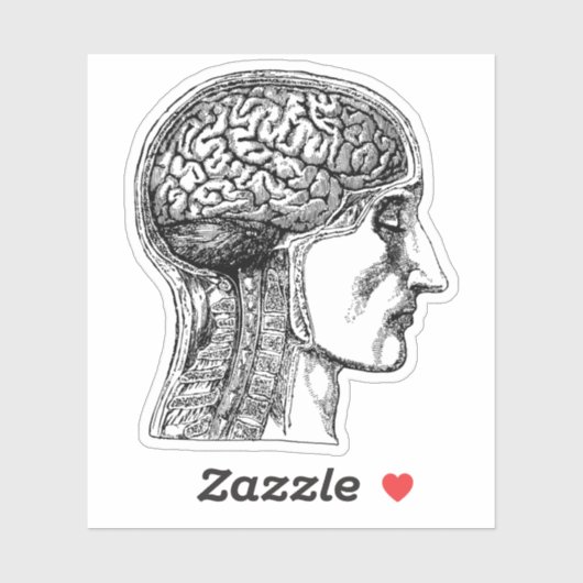De Human Brain Medical Illustration Sticker (Vel)