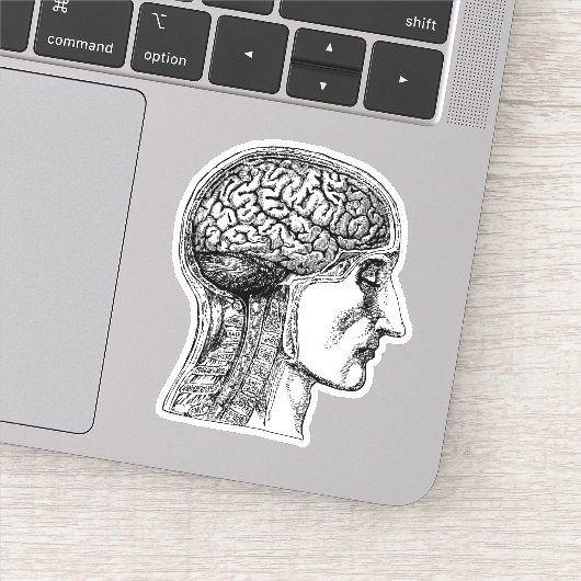 De Human Brain Medical Illustration Sticker (Detail)
