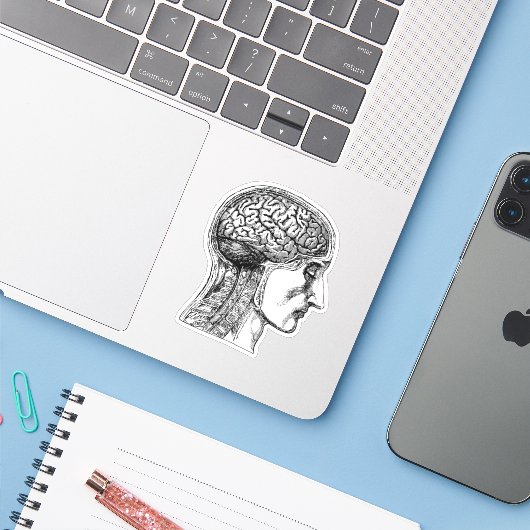 De Human Brain Medical Illustration Sticker (Laptop met iPhone)