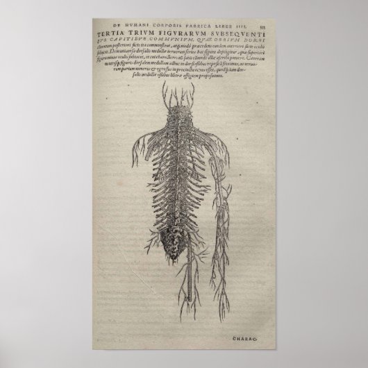 De Humani Corporis Poster (Voorkant)