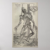 De Humani Corporis Poster (Voorkant)