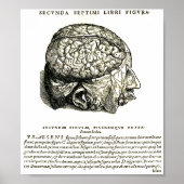 De Humani Corporis Poster (Voorkant)