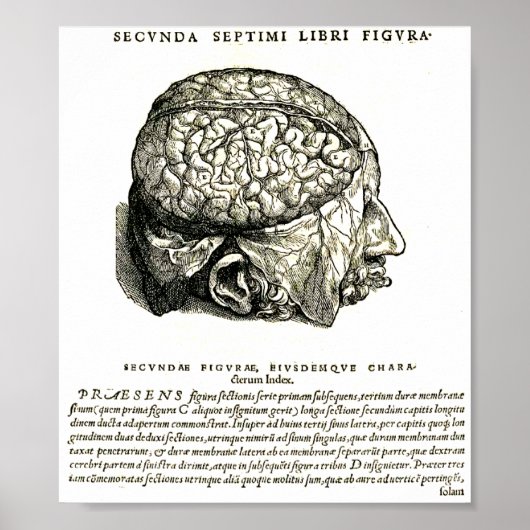 De Humani Corporis Poster (Voorkant)