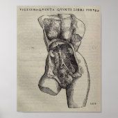 De Humani Corporis Poster (Voorkant)