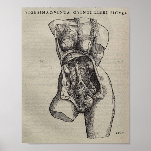 De Humani Corporis Poster (Voorkant)