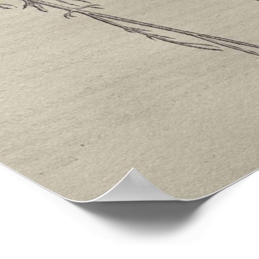 De Humani Corporis Poster (Hoek)