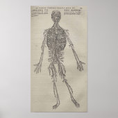 De Humani Corporis Poster (Voorkant)