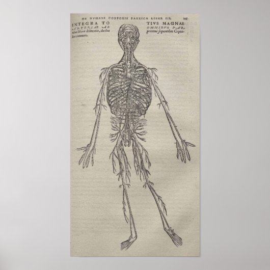 De Humani Corporis Poster (Voorkant)