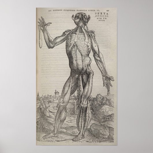 DE Humani Corporis Poster (Voorkant)