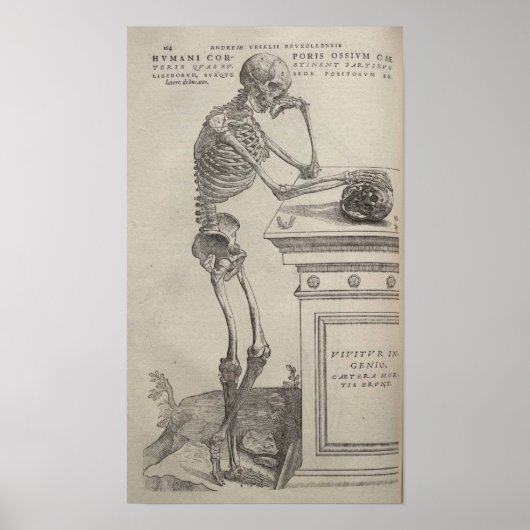 De Humani Corporis Poster (Voorkant)