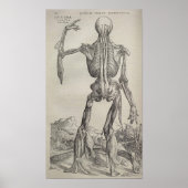 De Humani Corporis Poster (Voorkant)